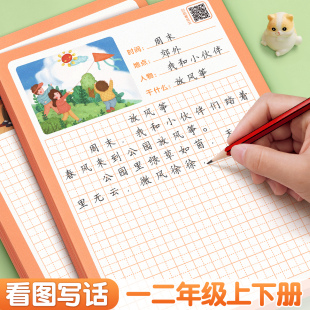 一年级二年级练字帖看图写话小学生字帖上册下册每日一练专项训练人教版 专用练字本绘本范文大全一升二练习纸押题范文幼小衔接