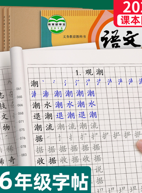 4-6年级生字组词练字帖小学生专用字帖每日一练同步语文人教版上册下册练字本四年级五六每日打卡硬笔书法楷书正楷笔画笔顺钢笔贴