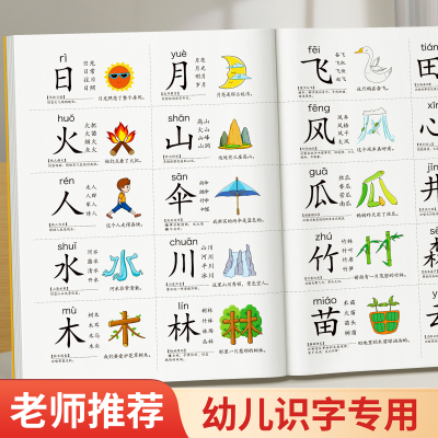 识字书幼儿认字识字大王