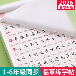 2026新版一年级生字练字帖二三四五六年级上册下册练字帖小学生专用语文人教版课本同步练字临摹每日一练硬带笔画笔顺一二类字楷书