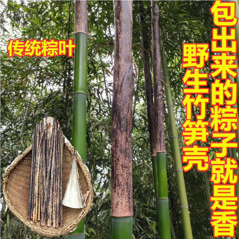 重庆农产品粽子壳50张包邮竹棕壳