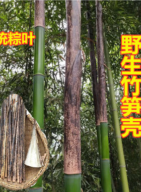 重庆新鲜张包邮竹端午节大棕叶