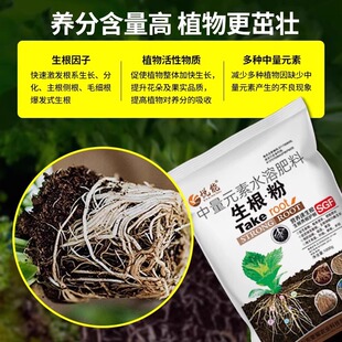 强力生根壮苗剂农用有机肥料矿源黄腐酸钾蔬菜兰花水稻植物水溶肥