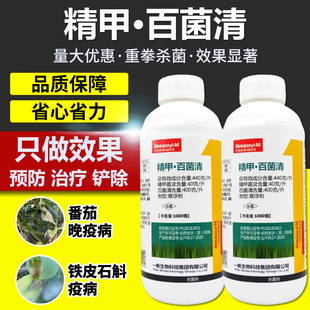 农药杀菌剂番茄西红柿土豆马铃薯蔬菜果树晚疫病专用药精甲百菌清