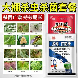 大棚烟雾杀虫剂杀菌剂菌立清异丙威烟剂蓟马白粉虱白粉病专用农药