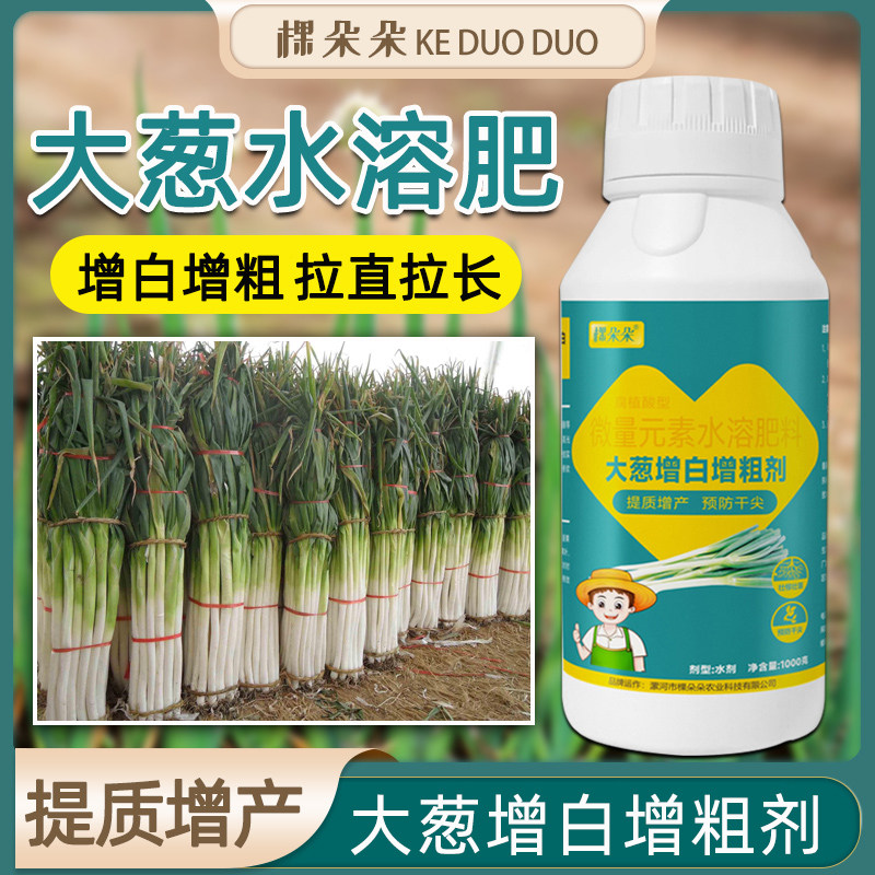 大葱专用药干尖黄叶农药小葱大葱专用肥料种葱的叶面肥喷施水溶肥