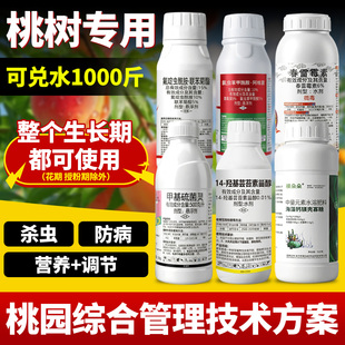 桃树杀虫流胶病钻心虫食心蚜虫专用药套餐专用肥农药杀虫剂杀菌剂