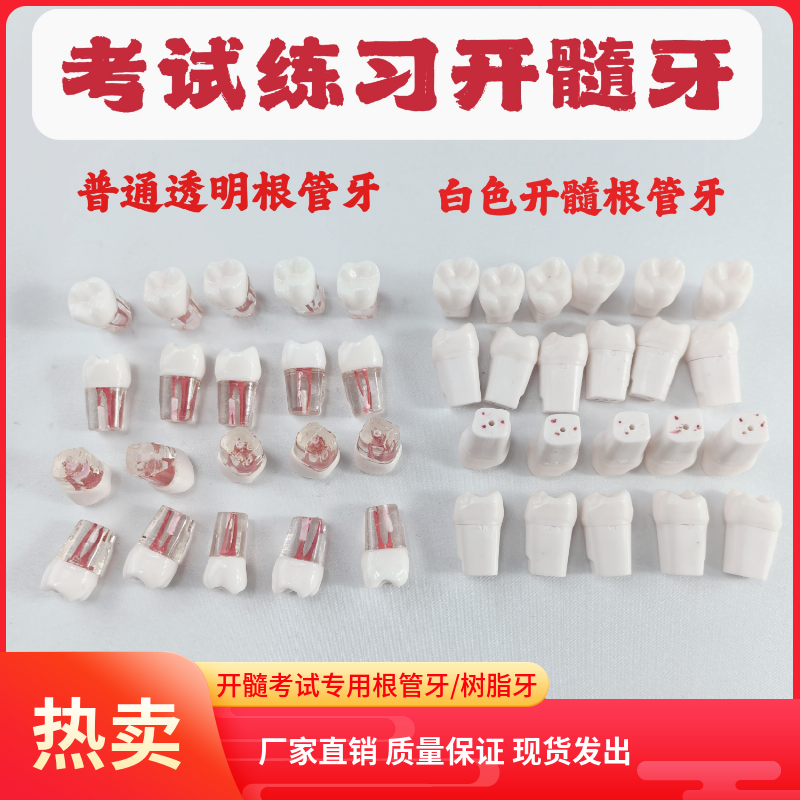 口腔技能考试练习仿真牙粒根管开口腔护理设备礼盒