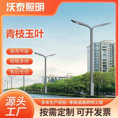 工厂直供户外防水路灯青枝玉叶led景观路灯6米12米市电路灯