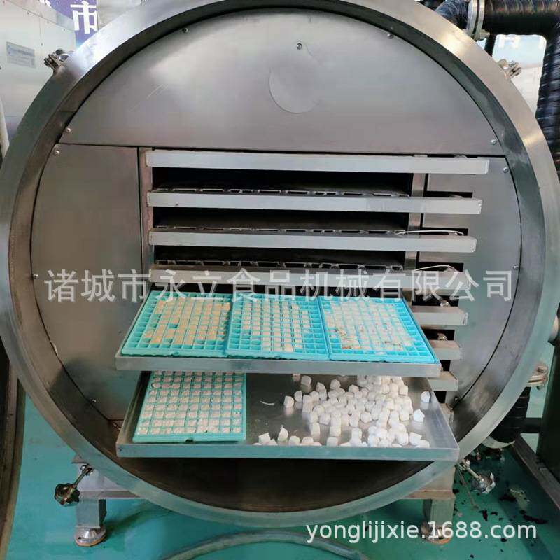 全自动水果蔬菜腌制牛肉真空冷冻干燥机 柠檬片冻干流水线脱水机
