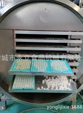 全自动水果蔬菜腌制牛肉真空冷冻干燥机 柠檬片冻干流水线脱水机