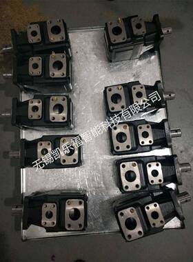 T6GC-B31-6L02-A101,T6GC-B31-6L03-A101压塑机油泵 叶片泵厂家