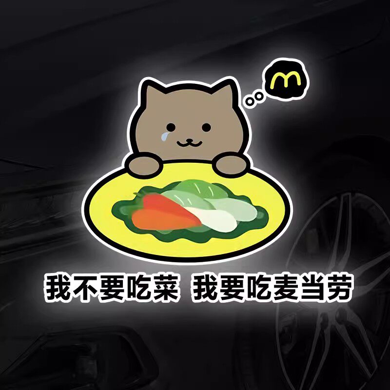 pvc材料防水防晒装饰汽车贴纸