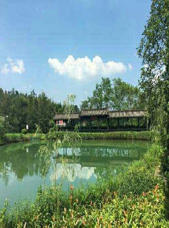 池州24莲峰云海景区亲子1大1小票（飞猪）