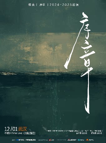 柳爽武汉演唱会