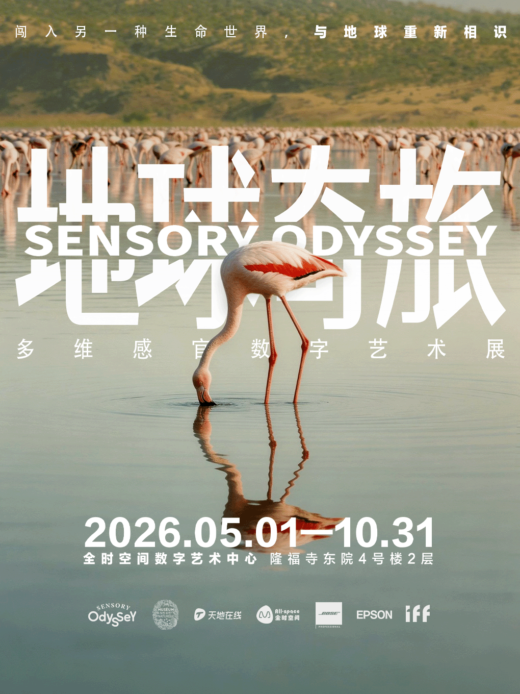 地球奇旅·多维感官数字艺术展（隆福寺站）