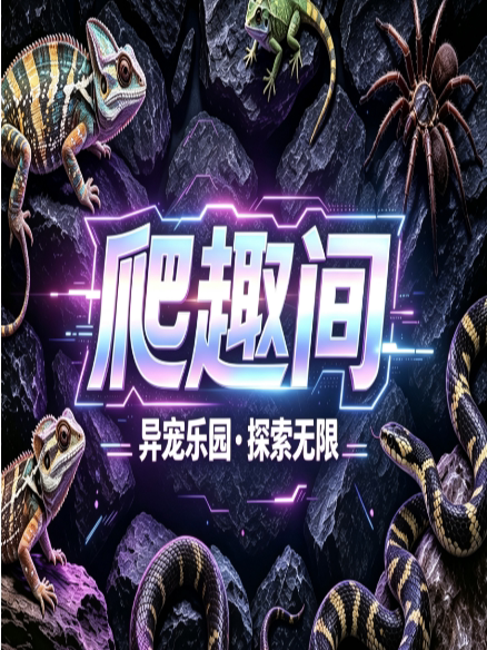 【乌鲁木齐首站】爬趣间--OL星辰汇店（可撸可上手）