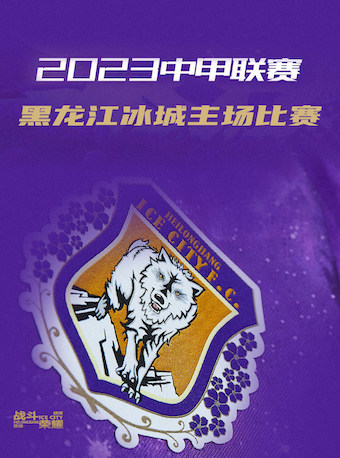 哈尔滨2023中甲联赛黑龙江冰城主场比赛