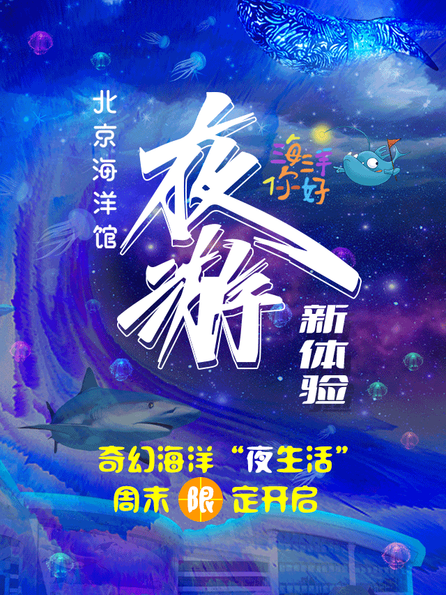《海洋你好-北京海洋馆夜游》新奇