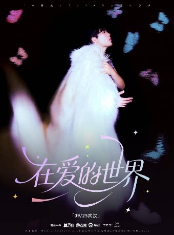 王忻辰2026巡演-武汉站