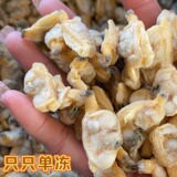 蛤蜊肉冷冻花甲肉鲜活冷冻花蛤肉去壳去沙大个花蛤肉黄蚬子肉