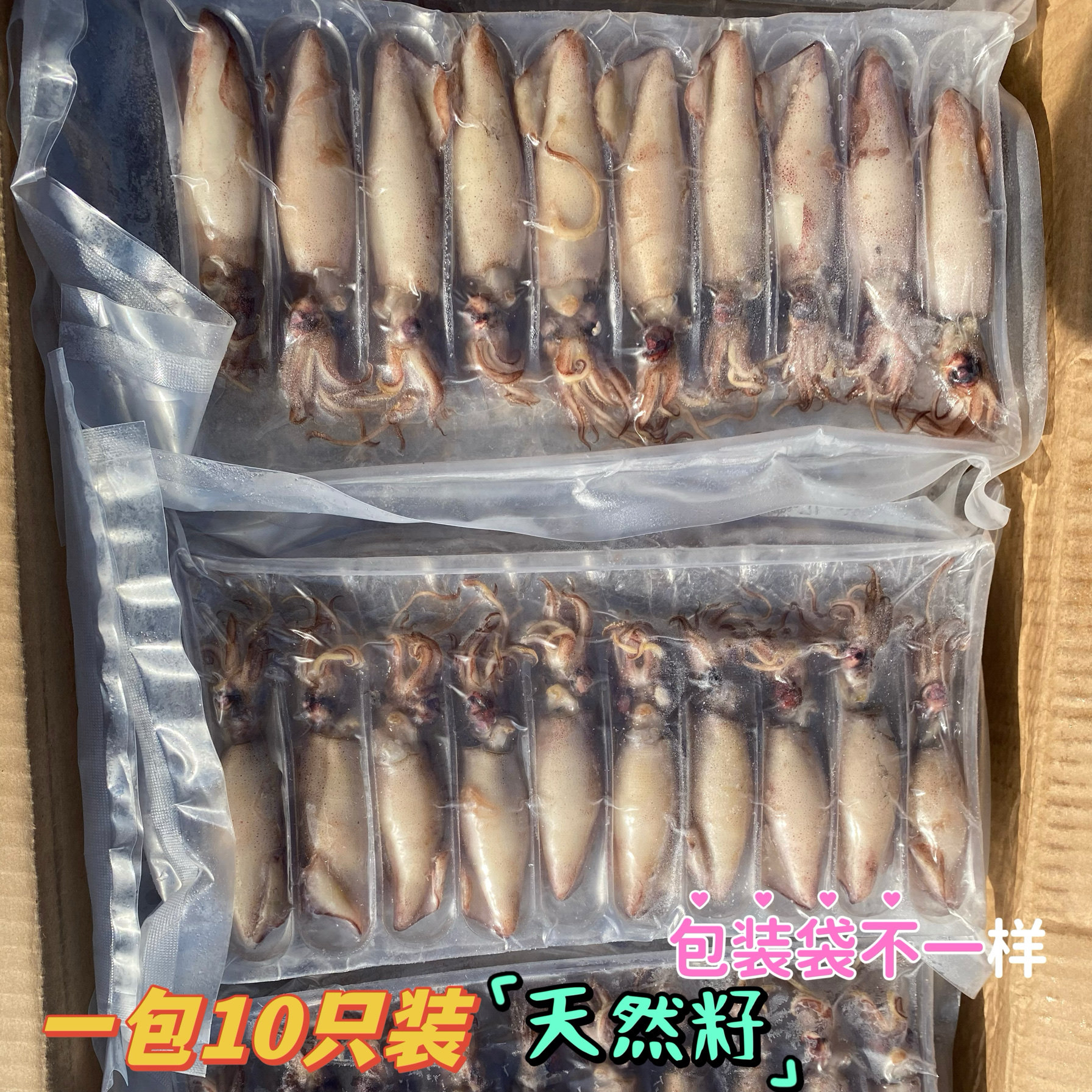 新鲜天然籽海兔原籽籽乌满籽海兔新鲜无沙笔管章鱼墨鱼捞汁烧烤
