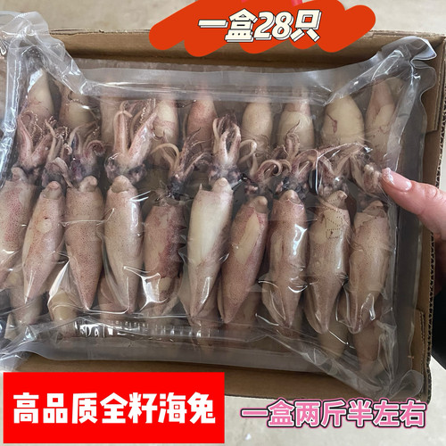 带籽全籽海兔新鲜熟冻真空包装