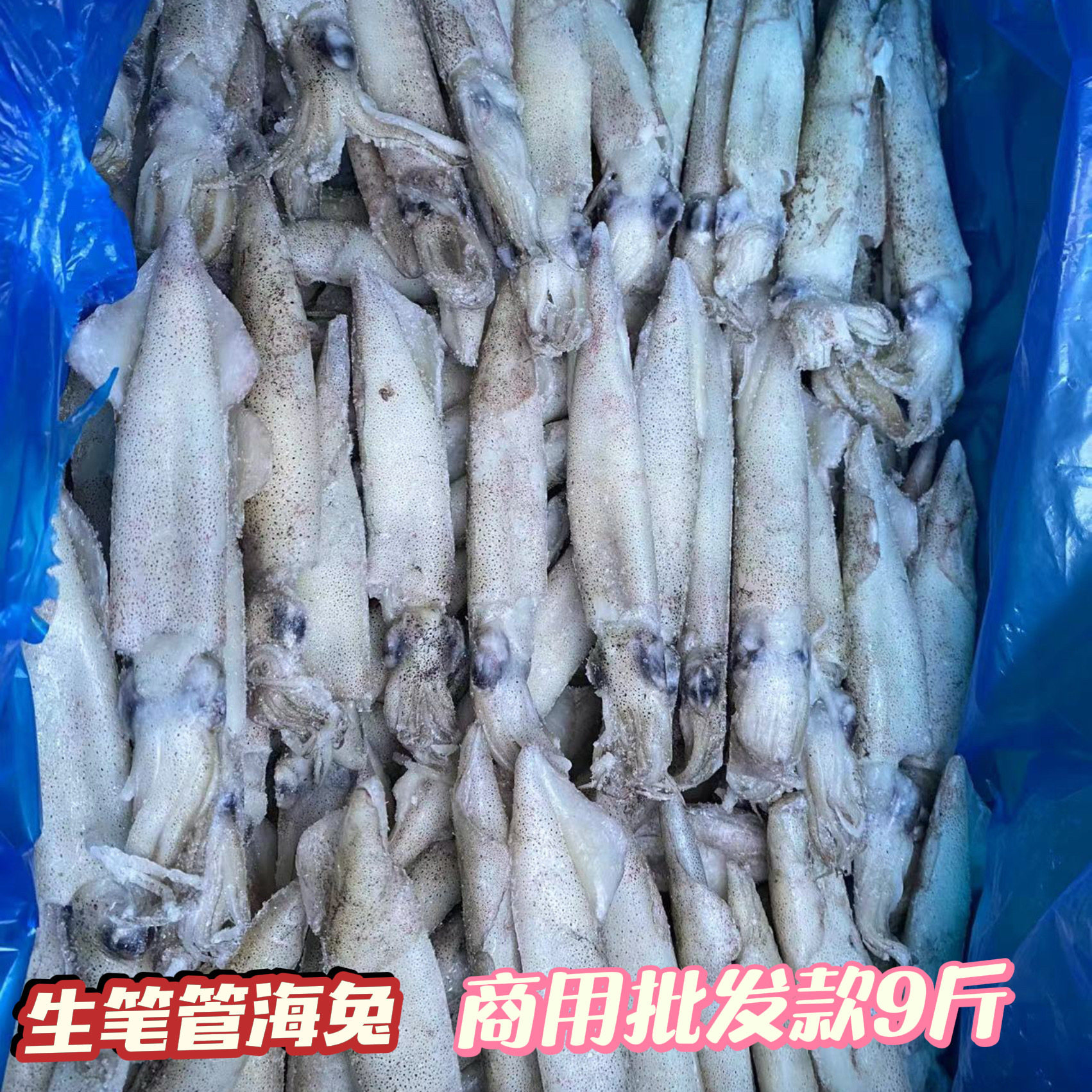 鲜冻笔管鱼不带籽海兔子小鱿鱼海鲜批发商用饭店市场摆摊食材
