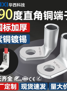 CNXI华西科技国标紫铜T90度直角铜端子窥口铜鼻子折弯L型接线端子