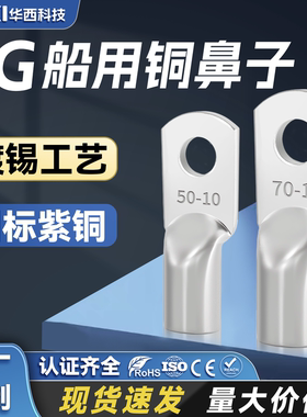 CNXI华西JG铜鼻子接线端子紫铜国标JG10/16/25/35/50/70/95/120