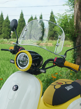 适配九号A2z/Q30C/Q90/Q85C/FZ3/Q70C电动车复古前挡风板改装配件