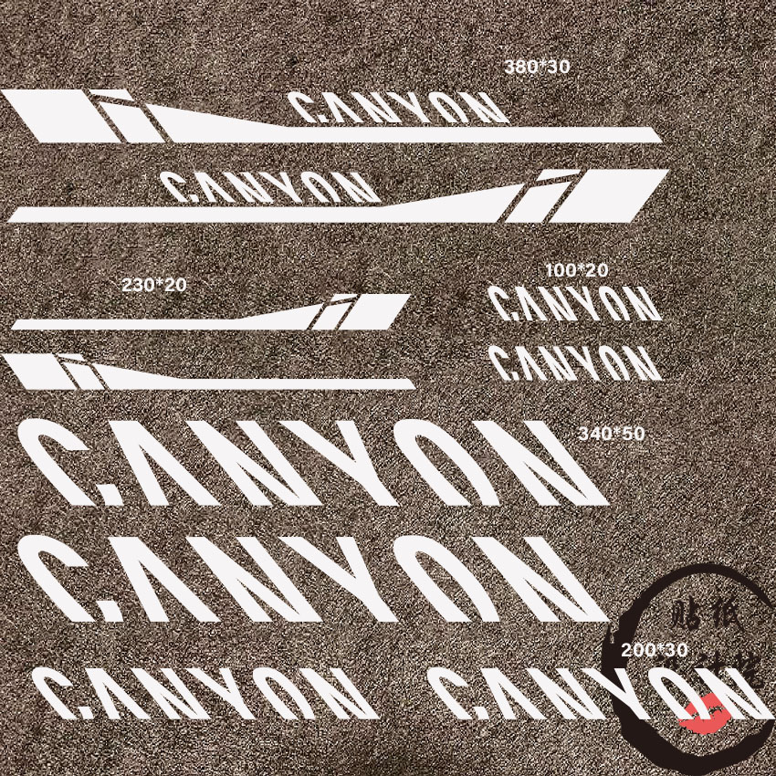 适用蝉蛹CANYON公路车贴纸自行车反光贴碳纤维自行车车架贴纸定制