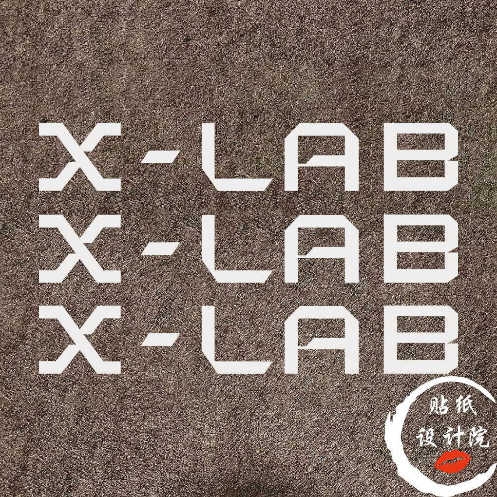 适用喜德盛X-LAB小辣堡RS8贴纸公路车自行车贴纸Logo改色下管定制