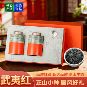 桐木关正山小种武夷红茶浓香型茶叶2026年春节年货礼盒装茶礼250g