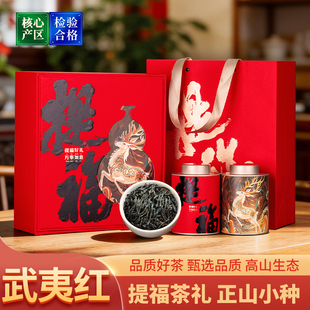 3桐木关正山小种武夷红茶浓香型茶叶2026新年马年礼盒装300g