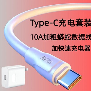 Type 适用华为荣耀小米OPPOvivo手机iPad平板蓝牙耳机车载加长2米快充电线 C10A闪充加粗蟒蛇数据线充电套装