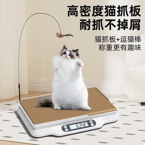 小白秤宠物体重秤猫咪体重称狗狗称重器宠物店家用精准电子秤