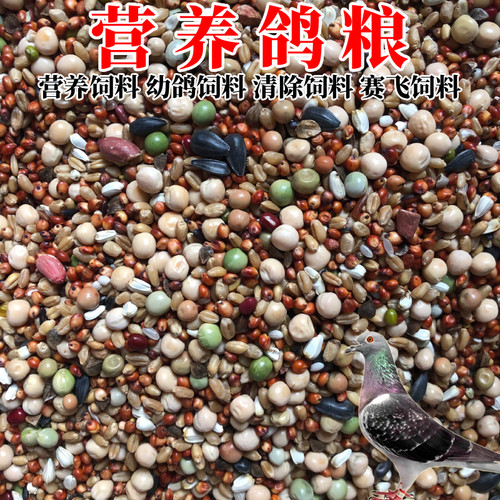 鸽子粮营养鸽粮赛飞幼鸽专用饲料