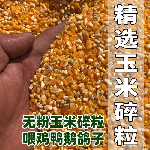 2025年东北玉米碎粒喂鸡鸭鹅鸽子