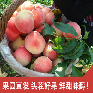 现摘水蜜桃新鲜水果10斤5斤整箱应季脆甜软大毛桃子安徽砀山突围