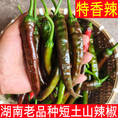 湖南青紫红老品种土山辣椒特香辣农家自种辣子本地新鲜薄皮蔬菜