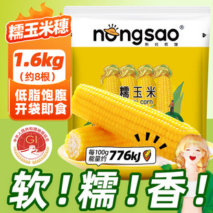东北农嫂黄糯玉米1.6kg约8根软糯香甜低脂早餐出口品质吉林原产D