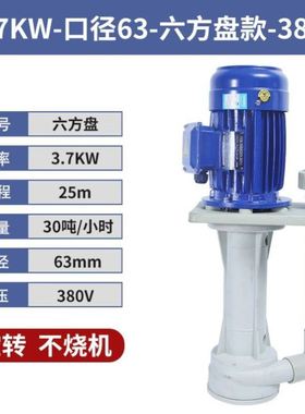 SEG/SEB立式耐酸碱可空转化工槽内外液下泵废气喷涂电泳漆
