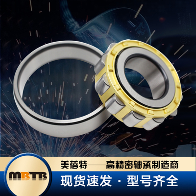 MBTB圆柱滚子轴承 N304 N305 N306 N307 N308 N309 N310EM C3