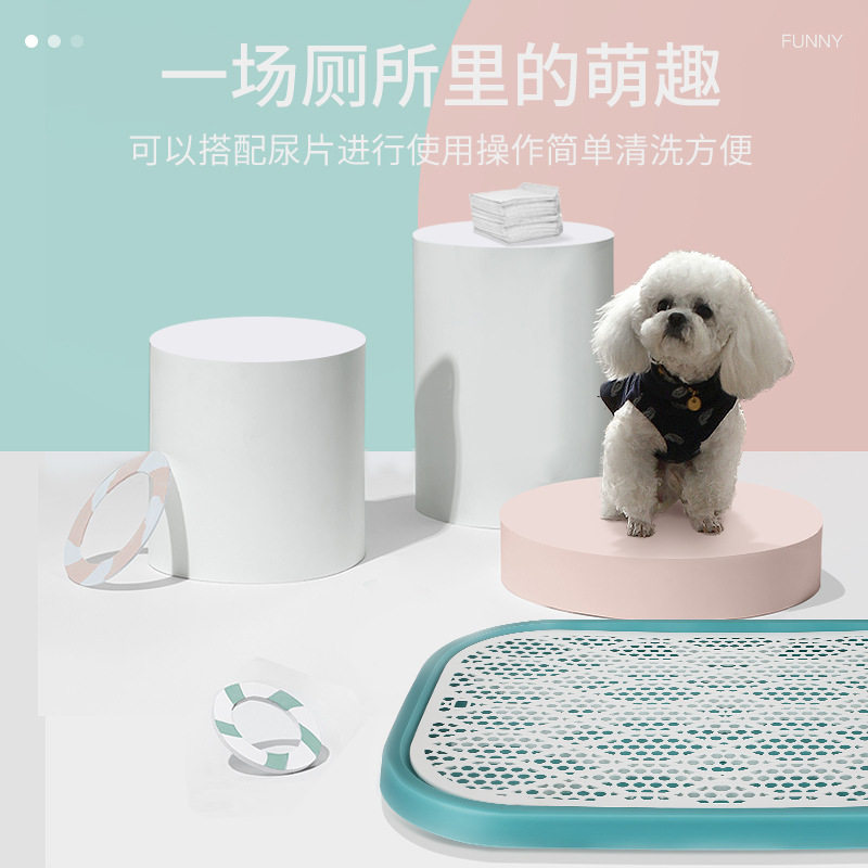 新款圆弧超大号金毛清洁宠物狗图片