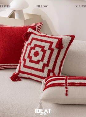 沙发装饰抱枕套新中式高端高级感红色腰枕靠枕几何簇绒绣流可拆洗