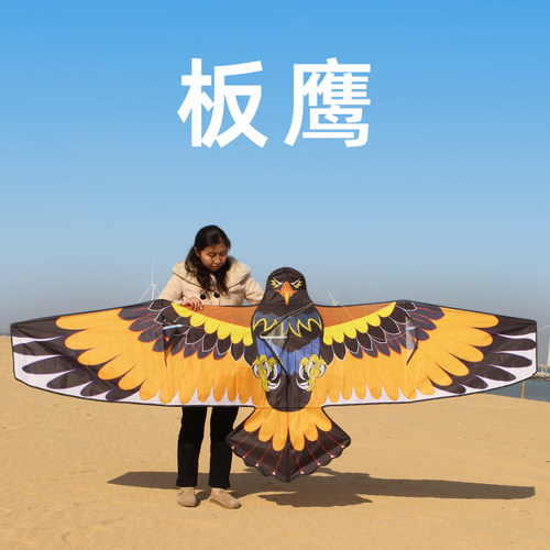潍坊新款板鹰风筝成人大人高档微风易飞好飞大型风筝新手轻松放飞