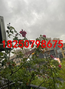 6av6646-1ba18-0na0全新现货议价