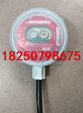 美国 det-tronics 双频谱 红外 火焰 探测器议价