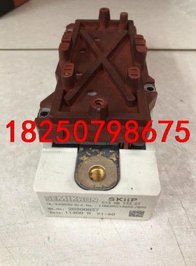 SKiiP513GB173CT 513GB172CT拆机包好议价